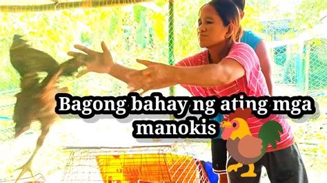 pagpupurga sa 3 month old na manok|MGA PAMAMARAAN KO SA PAGPUPURGA NG AKING MGA .